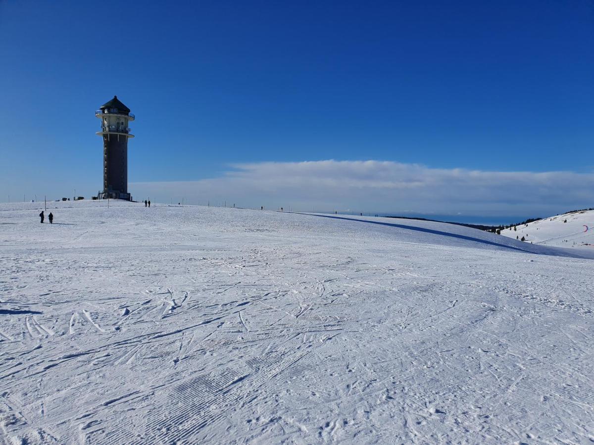 Enjoy Ferienwohnung Feldberg Grafenmatt Екстер'єр фото