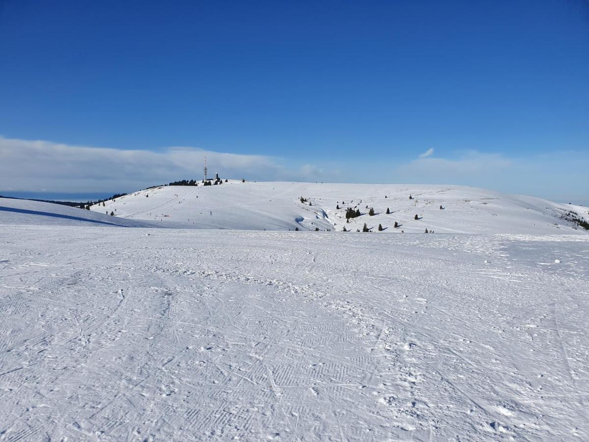 Enjoy Ferienwohnung Feldberg Grafenmatt Екстер'єр фото